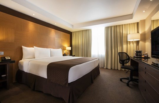 Deluxe king Hôtel Urban Aeropuerto Ciudad de México - 