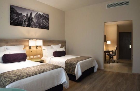 Deluxe Doble Hotel Krystal Monterrey - 