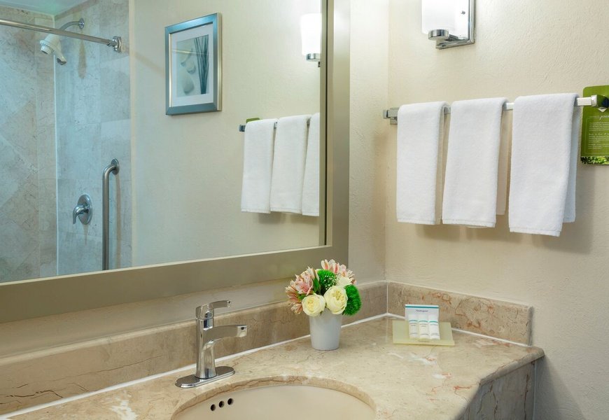  Hôtel Krystal Urban Monterrey San Jeronimo - 